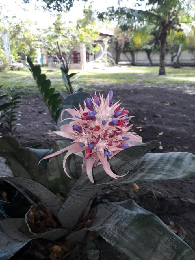 Refugio Das Bouganvillea Igarassu 외부 사진