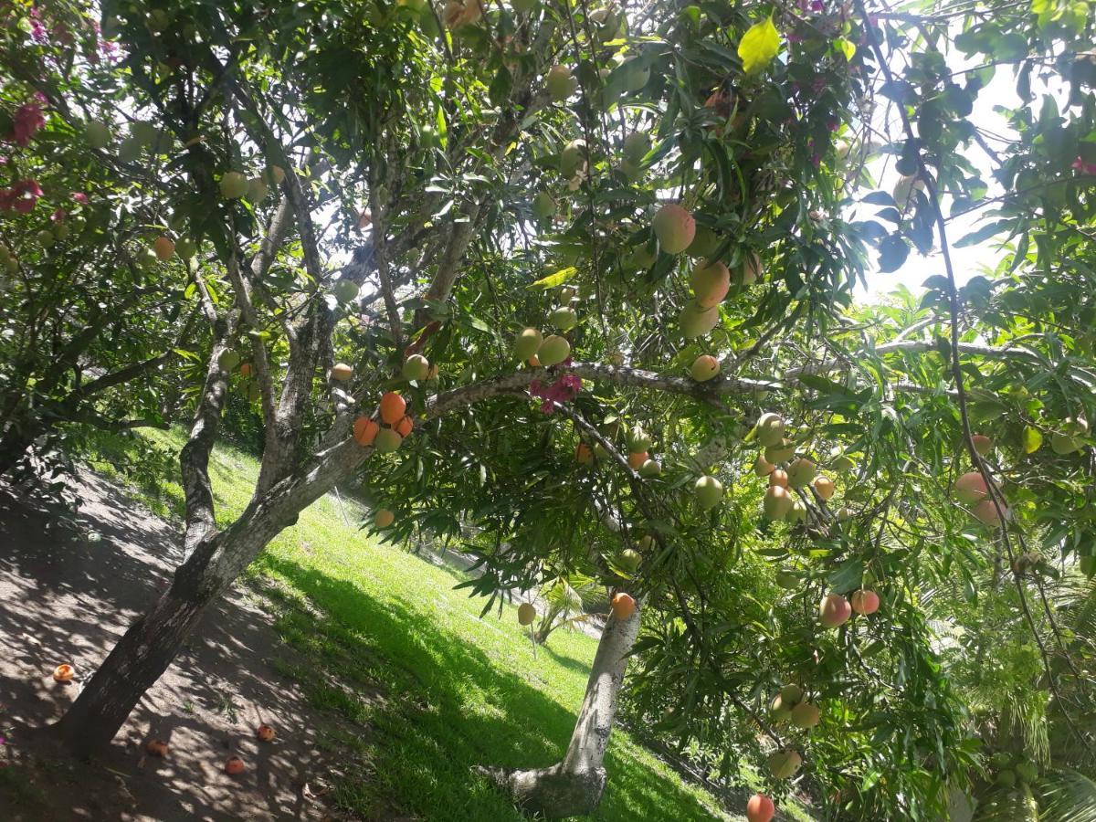 Refugio Das Bouganvillea Igarassu 외부 사진